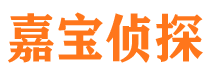 双辽市私家侦探